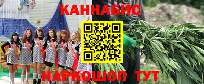 шишки Жуковский
